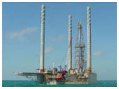 CHEMICAL AND PETROCHEMICAL INDUSTRY SKIRTBOARD RUBBER CHEMICAL AND PETROCHEMICAL INDUSTRY SKIRTBOARD RUBBER